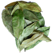 Organic Dried Sour-sop Leaves (100 Leaves) Ceylon Flavors - Fresh and Pure
